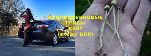 МДПВ Сосновоборск
