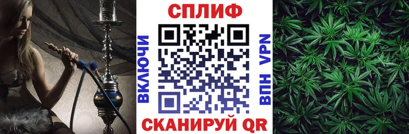 Купить закладки  Одинцово  Каннабис Amnesia 